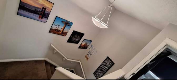 Davor's room