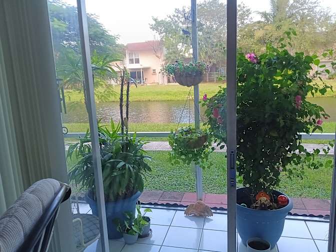 Yeney Abreu's room