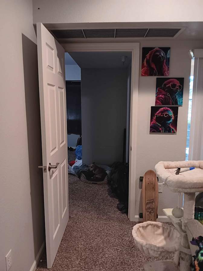 Tyler's room