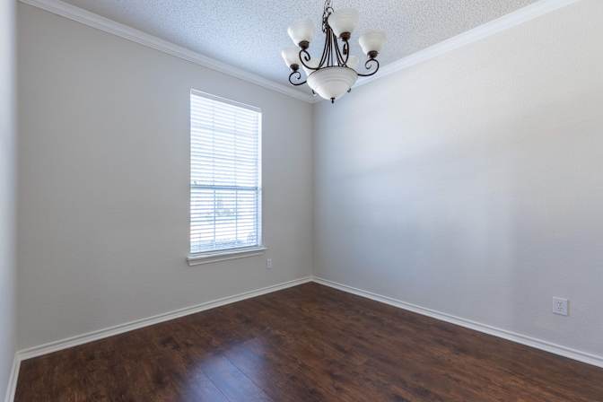 Paulina phuong nguyen's room
