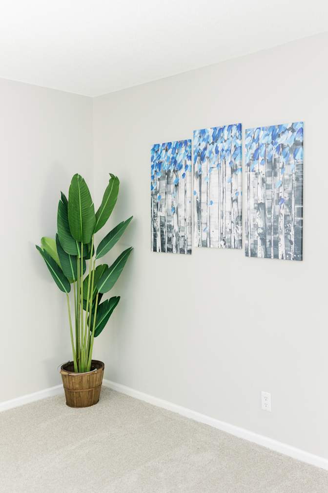 Cesar's room
