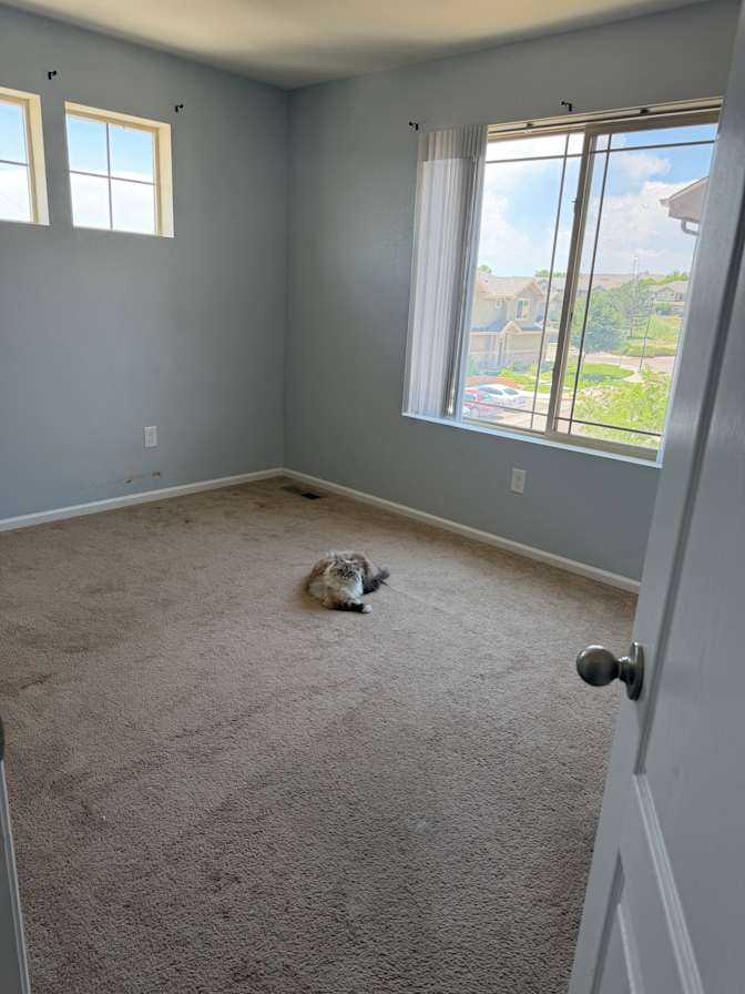 Jezinnie's room