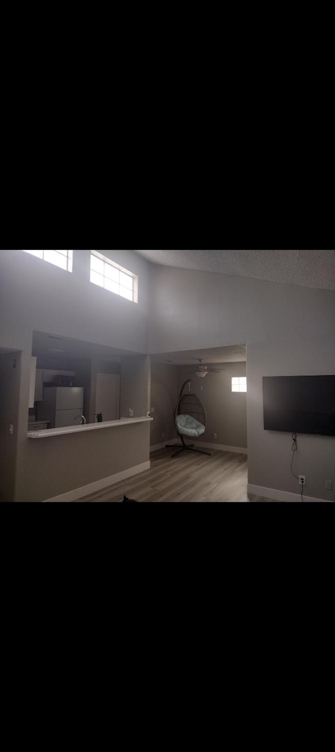 Andrea's room