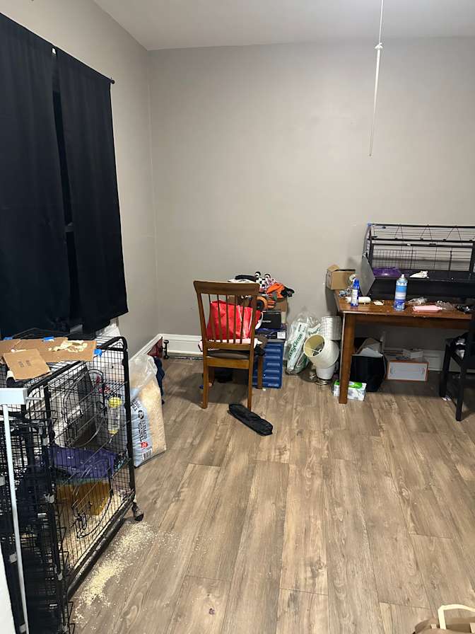 Jasper's room