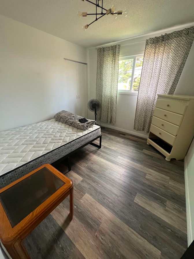 jana's room