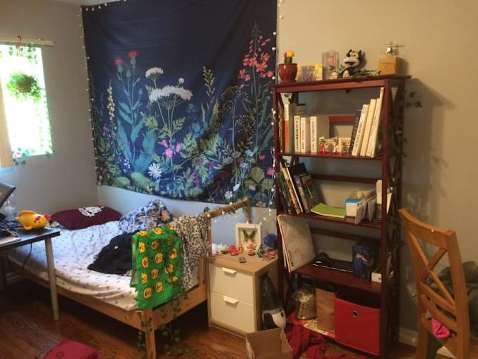 Hannah's room