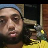 Shameel