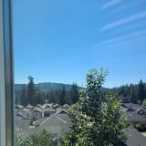 Vancouver Island View