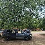Warona