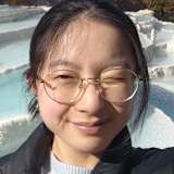 Amy Cui