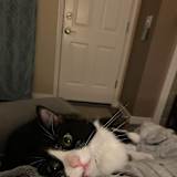 Tobi