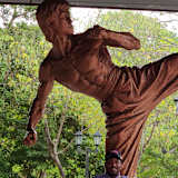 Laron