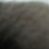 Sukh