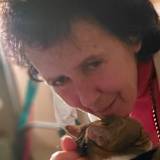 Susan Anne Lobel