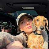 Sophie
