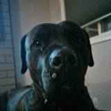Mateo