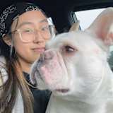 Tam