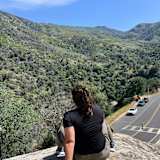 Nydia