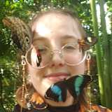 Bug Schenkel