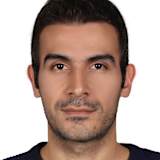 Ali Lari
