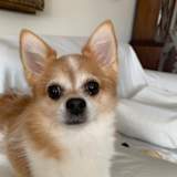 Chloe