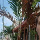 Nate Google