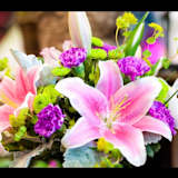 Parvin