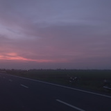 Vinod
