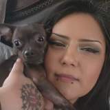 Gemiena