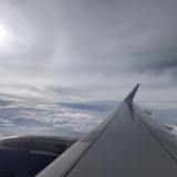 Tejas