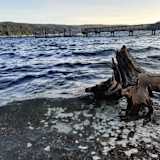 Conner