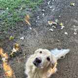 Parker