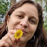 Damaris