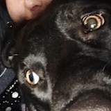 Megan
