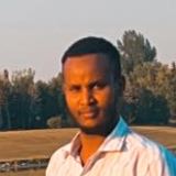 Abdi