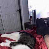 Andy