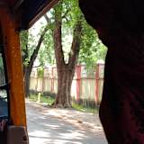 Vanshika