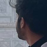 Aris Ansari