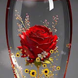 Rosy