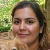 Negin