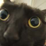 Axel