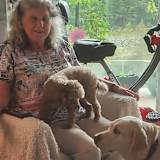 Sarah Lomas