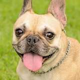 Lynn