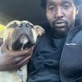 DoGzOnGo On YouTube