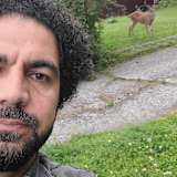 Rohani