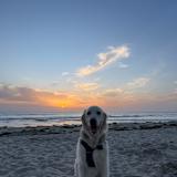 Jaci