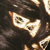 jashn randhawa
