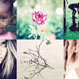 Candice Dorman