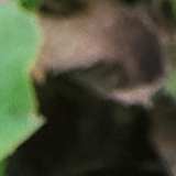 Andy
