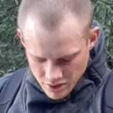 Le Roux